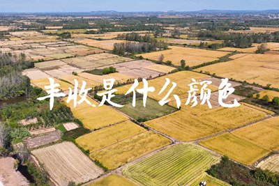 春種一粒粟，秋收萬顆子。多彩的豐收季，只愿五谷豐登，百事興旺3.240_400.jpg