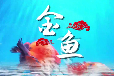金魚歡躍，流光溢彩！_400.jpg